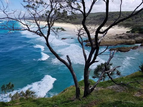 North Stradbroke Island Day Trip From Brisbane - Accommodation Newcastle 5