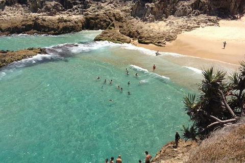 North Stradbroke Island Day Trip From Brisbane - Accommodation Newcastle 1