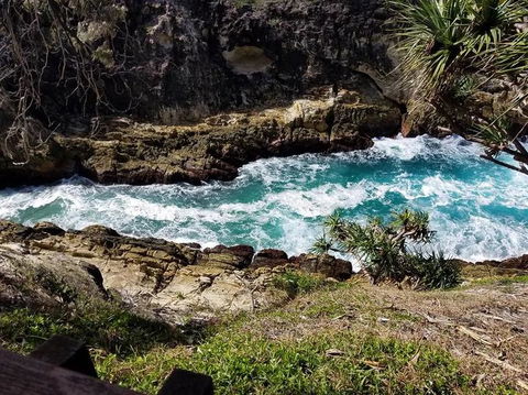 North Stradbroke Island Day Trip From Brisbane - Accommodation Newcastle 7