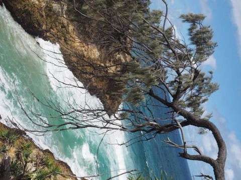 North Stradbroke Island Day Trip From Brisbane - Accommodation Newcastle 16