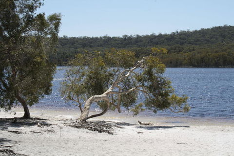 North Stradbroke Island Day Trip From Brisbane - Accommodation Newcastle 24