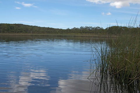 North Stradbroke Island Day Trip From Brisbane - Accommodation Newcastle 22
