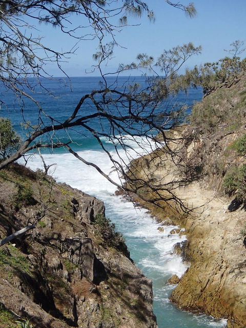North Stradbroke Island Day Trip From Brisbane - Accommodation Newcastle 25