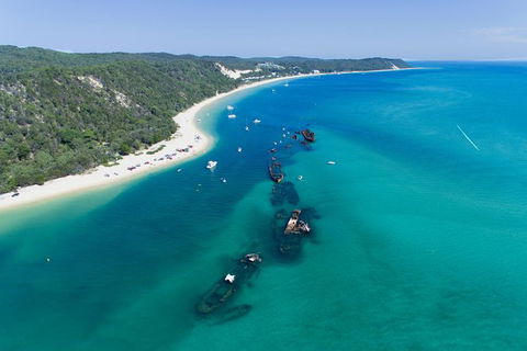 Cape Moreton Scenic 4WD Day Tour From Brisbane Or The Gold Coast - Accommodation Newcastle 8