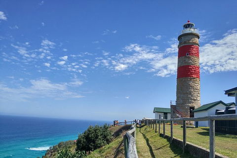 Cape Moreton Scenic 4WD Day Tour From Brisbane Or The Gold Coast - Accommodation Newcastle 6