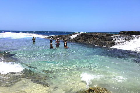 Cape Moreton Scenic 4WD Day Tour From Brisbane Or The Gold Coast - Accommodation Newcastle 3