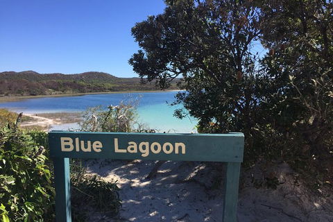 Cape Moreton Scenic 4WD Day Tour From Brisbane Or The Gold Coast - Accommodation Newcastle 4