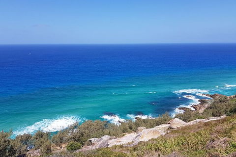 Cape Moreton Scenic 4WD Day Tour From Brisbane Or The Gold Coast - Accommodation Newcastle 7