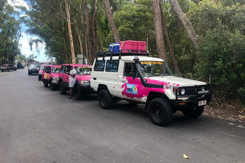 2-Day Fraser Island 4WD Tag-Along Tour At Beach House From Hervey Bay - Accommodation Newcastle 6