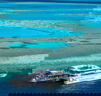 Great Barrier Reef Day Cruise to Reefworld - Accommodation Newcastle