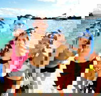 Moreton Island Snorkel and Sandboarding 4WD Day Trip from Brisbane - Accommodation Newcastle
