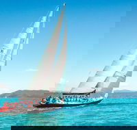Condor Whitsundays Maxi Sailing 2 Days 2 Nights - single bed - Accommodation Newcastle