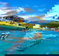 Ocean Rafting Tour to Whitehaven Beach Hill Inlet Lookout  Top Snorkel Spots - Accommodation Newcastle