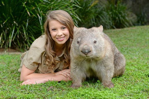 Small-Group Australia Zoo Day Trip From Brisbane - Accommodation Newcastle 5