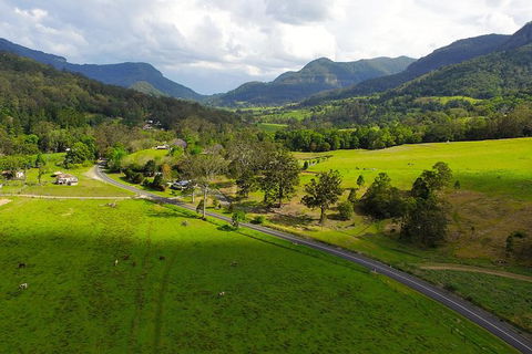 World Heritage Springbrook National Park Tour Including Natural Bridge - Accommodation Newcastle 4