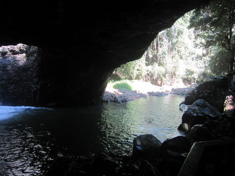 Springbrook National Park Discovery Full-Day Bushwalking Tour - Accommodation Newcastle 18