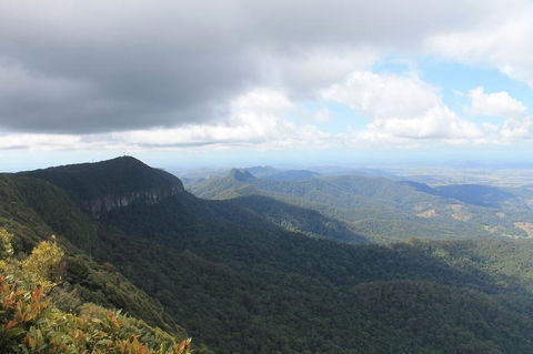 Springbrook National Park Discovery Full-Day Bushwalking Tour - Accommodation Newcastle 3