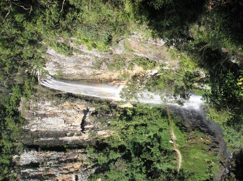 Springbrook National Park Discovery Full-Day Bushwalking Tour - Accommodation Newcastle 23