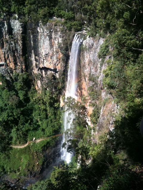 Springbrook National Park Discovery Full-Day Bushwalking Tour - Accommodation Newcastle 24
