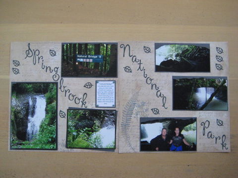 Springbrook National Park Discovery Full-Day Bushwalking Tour - Accommodation Newcastle 19