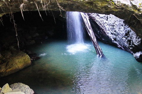 Springbrook National Park Discovery Full-Day Bushwalking Tour - Accommodation Newcastle 6