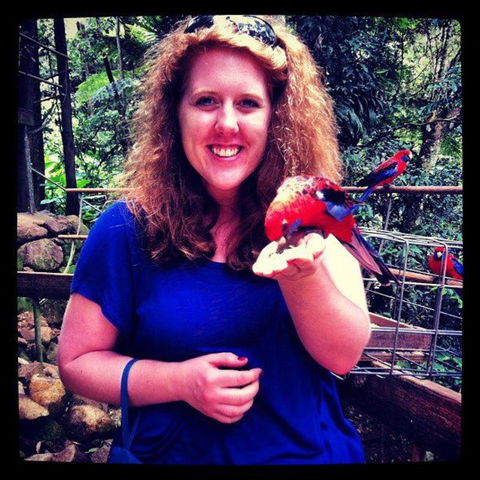 Springbrook National Park Discovery Full-Day Bushwalking Tour - Accommodation Newcastle 8