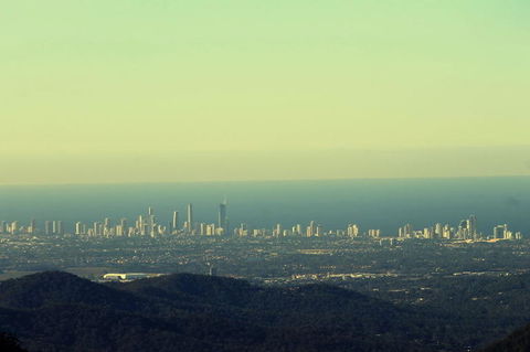 Springbrook National Park Discovery Full-Day Bushwalking Tour - Accommodation Newcastle 4