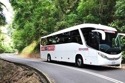 Palm Cove Departure Transfer - Palm Cove To Airport - Accommodation Newcastle 1