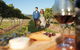 Full-Day Tastes Of The Scenic Rim Luxury Small Group Tour From Brisbane - thumb 1