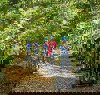 Whitsunday Segway Rainforest Discovery Tour - Accommodation Newcastle
