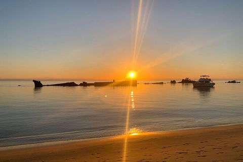 2-Day Moreton Island Tour From Brisbane Or Gold Coast With Optional Nighttime Kayaking - Accommodation Newcastle 11