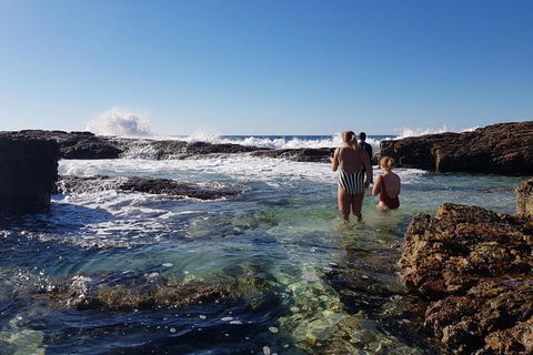 2-Day Moreton Island Tour From Brisbane Or Gold Coast With Optional Nighttime Kayaking - Accommodation Newcastle 10
