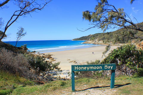 2-Day Moreton Island Tour From Brisbane Or Gold Coast With Optional Nighttime Kayaking - Accommodation Newcastle 12