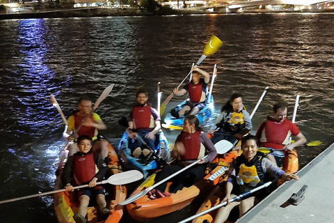 Brisbane River Guided Evening Tour By Kayak - Our Most Popular Tour - Accommodation Newcastle 8