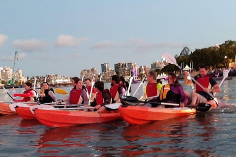 Brisbane River Guided Evening Tour By Kayak - Our Most Popular Tour - Accommodation Newcastle 4