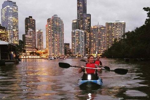 Brisbane River Guided Evening Tour By Kayak - Our Most Popular Tour - Accommodation Newcastle 2