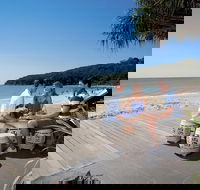 Noosa and Sunshine Coast Hinterland Day Trip from Brisbane - Accommodation Newcastle