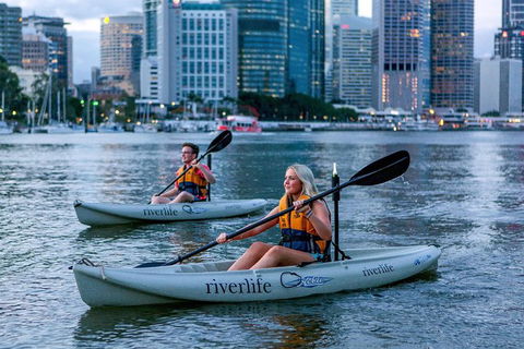 Brisbane Kayak Tour - Accommodation Newcastle 3