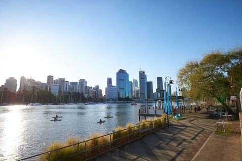 Brisbane Kayak Tour - Accommodation Newcastle 6