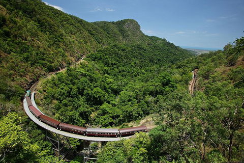 Skyrail Rainforest Cableway Day Trip From Palm Cove - Accommodation Newcastle 5