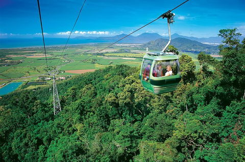 Skyrail Rainforest Cableway Day Trip From Palm Cove - Accommodation Newcastle 3