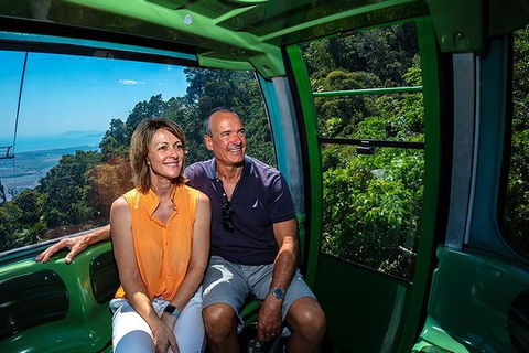 Skyrail Rainforest Cableway Day Trip From Palm Cove - Accommodation Newcastle 2