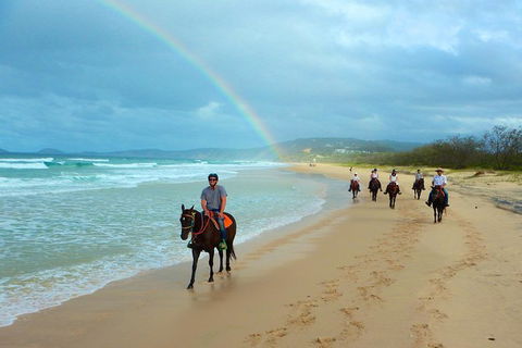Rainbow Beach Horse Ride - Accommodation Newcastle 1