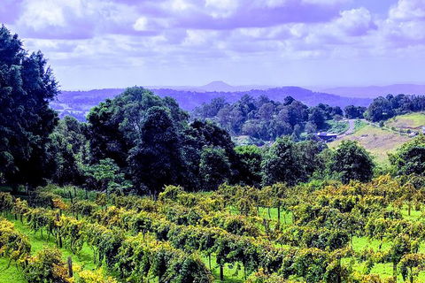 Queensland Food Tour: Farm-to-Table Indulgence - Accommodation Newcastle 6
