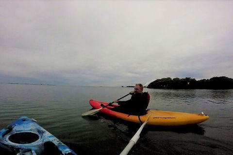 Brisbane Guided Kayaking Tour On Tingalpa Creek - Accommodation Newcastle 5