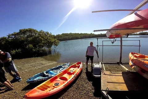 Brisbane Guided Kayaking Tour On Tingalpa Creek - Accommodation Newcastle 6