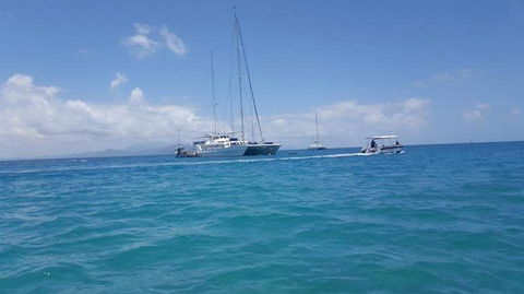 Wavedancer Low Isles Great Barrier Reef Sailing Cruise From Port Douglas - Accommodation Newcastle 3