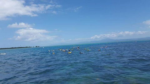 Wavedancer Low Isles Great Barrier Reef Sailing Cruise From Port Douglas - Accommodation Newcastle 4