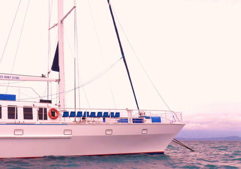 Wavedancer Low Isles Great Barrier Reef Sailing Cruise From Port Douglas - Accommodation Newcastle 8