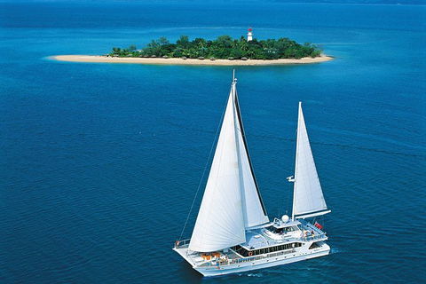 Wavedancer Low Isles Great Barrier Reef Sailing Cruise From Port Douglas - Accommodation Newcastle 13